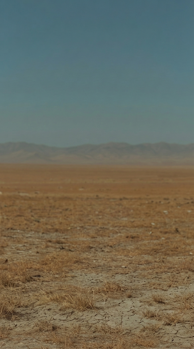 Wasteland Broadcast
